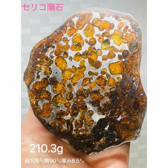 新品同様 メテオライト 210g隕石 パラサイト隕石 鑑別書付き セリコ