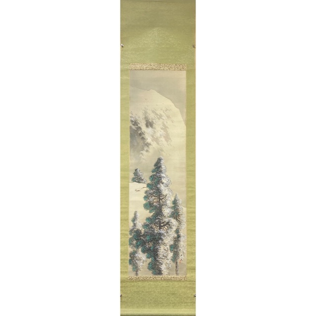 松樹11