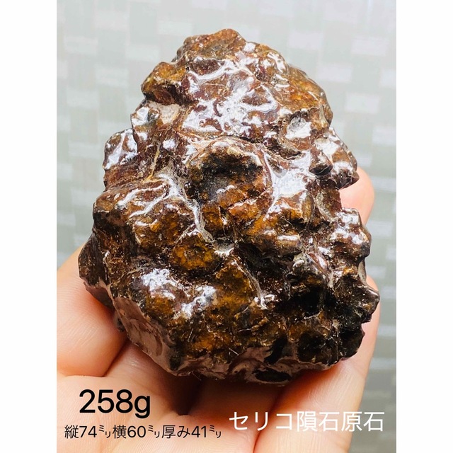 パラサイト隕石 258g 隕石 メテオライト セリコ隕石 希少 高品質隕石-