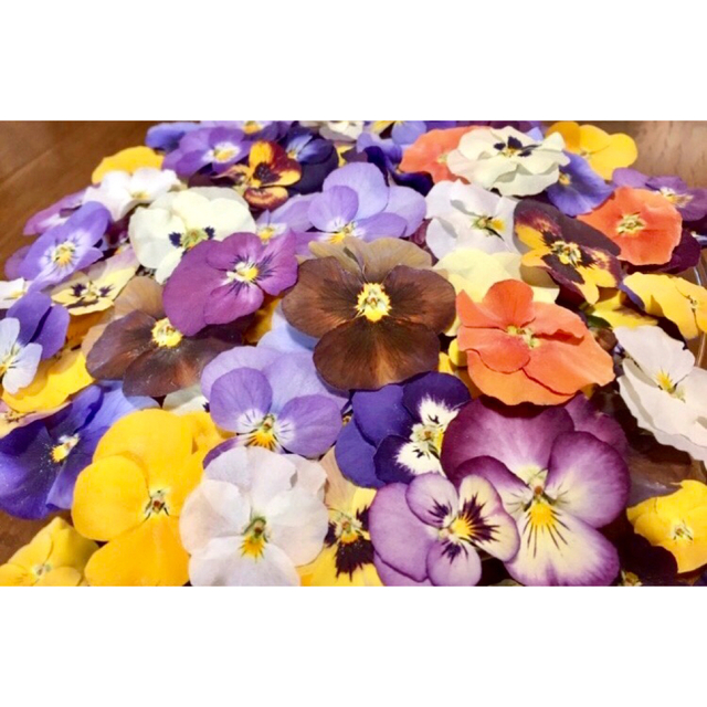 100円お値引き‼️a銀の紫陽花が作った彩りビオラドライフラワー山盛り60冠‼️ ハンドメイドのフラワー/ガーデン(ドライフラワー)の商品写真