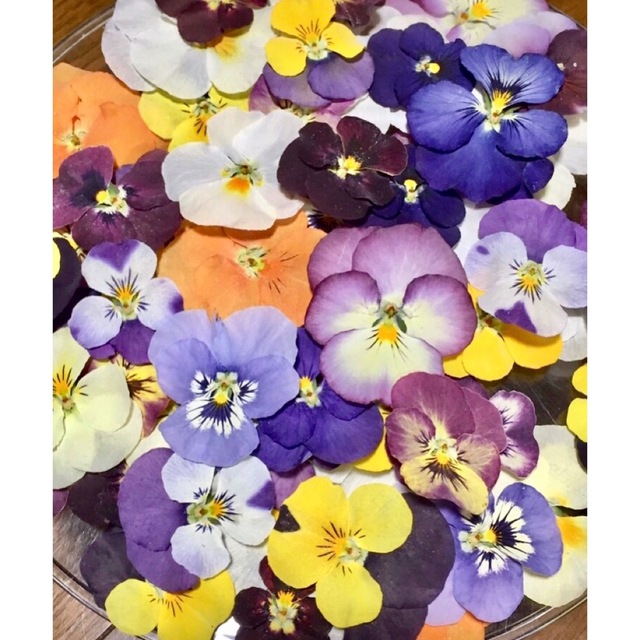 100円お値引き‼️a銀の紫陽花が作った彩りビオラドライフラワー山盛り60冠‼️ ハンドメイドのフラワー/ガーデン(ドライフラワー)の商品写真