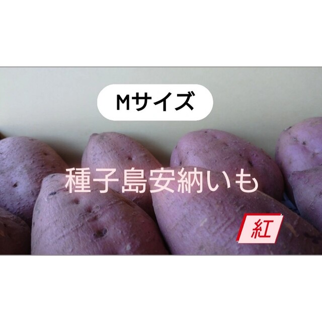 種子島安納いも紅 Ｍ 10キロ 食品/飲料/酒の食品(野菜)の商品写真