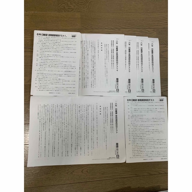 2022年度日能研6年育成テスト前期全17回、春期1夏期4-