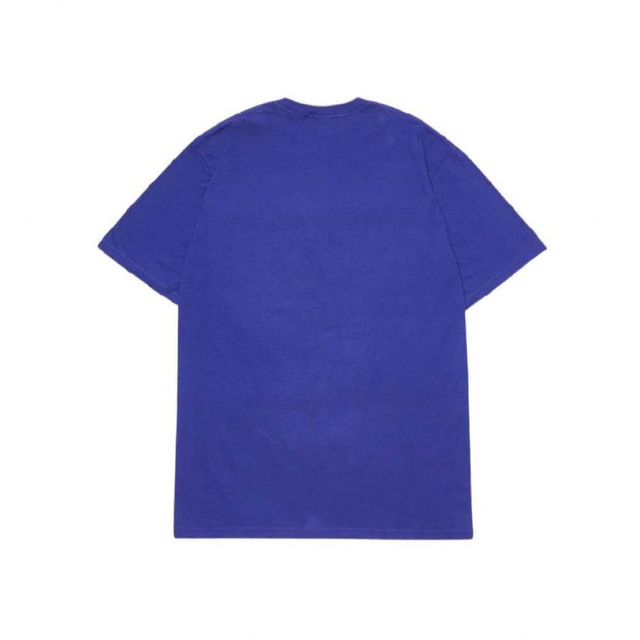 Supreme The North Face T-Shirt Blue Lサイズ | myglobaltax.com