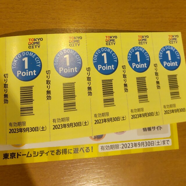 東京ドームシティ 得10チケット 2冊+4ポイント(計24ポイント