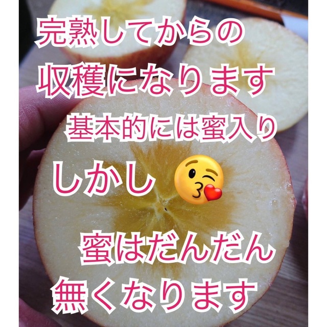 3月12日発送。会津の樹上葉取らず家庭用リンゴ約38個入り  食品/飲料/酒の食品(フルーツ)の商品写真