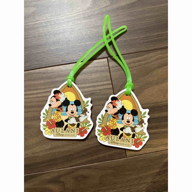 Disney(ディズニー)のアウラニ　保冷バッグ　ネームタグ エンタメ/ホビーのおもちゃ/ぬいぐるみ(キャラクターグッズ)の商品写真
