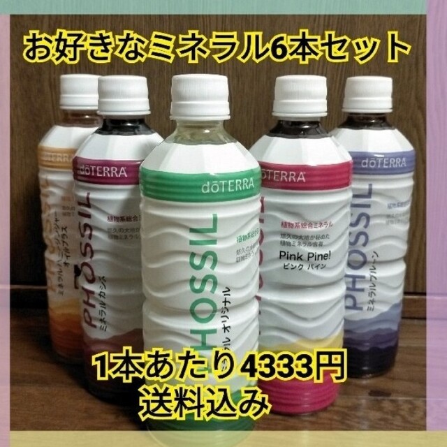 doTERRA  ドテラ ミネラルお好きな味 6本セット