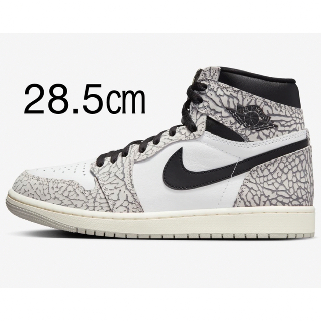 28.5㎝ Air Jordan 1 High OG White Cement