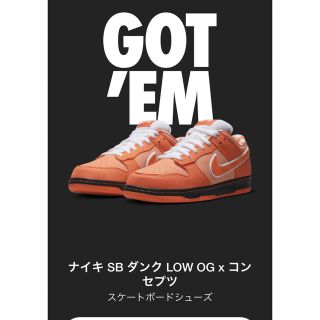 ナイキ(NIKE)のナイキ SB ダンク LOW OG x コンセプツ(スニーカー)