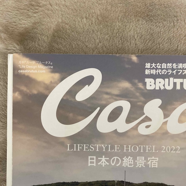 Casa BRUTUS (カーサ・ブルータス) 2022年 07月号 エンタメ/ホビーの雑誌(生活/健康)の商品写真