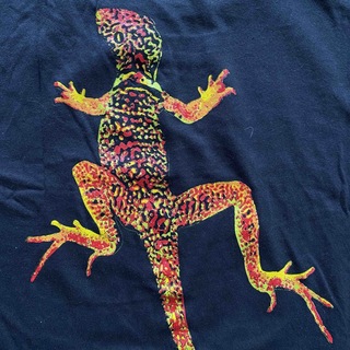 Marlboro Lizard Tee マルボロ トカゲ Tシャツ イエロー