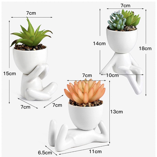 人工植物の装飾 卓上鉢植え シミュレーション多肉植物、テーブル