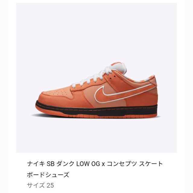 NIKE(ナイキ)の25 Concepts NIKE SB DUNK  Orange Lobster メンズの靴/シューズ(スニーカー)の商品写真