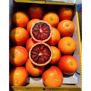 愛媛県産　ブラッドオレンジ(モロ)　コンパクト便　柑橘　ミカン(フルーツ)