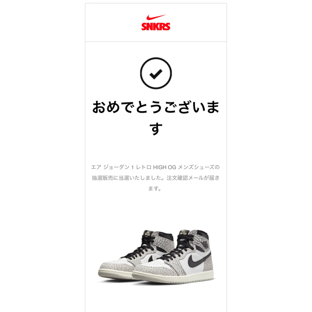 Nike Air Jordan 1 High OG White Cement 1