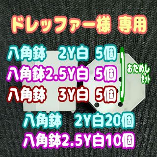 カネヤ【2Y・2.5Y・3Y】八角鉢 白各5個他 プラ鉢スリット鉢プレステラ多肉(プランター)