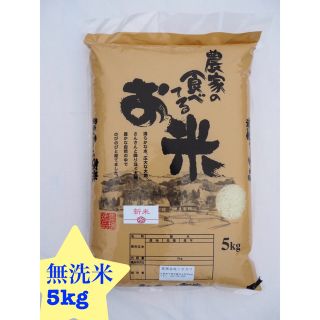 ネコロンブス様専用　農家の食べてるお米　無洗米　5kg 令和四年産(米/穀物)