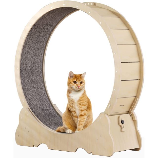 🐈キャットホイール☆猫回し車 猫☆ 円高還元 51.0%OFF www.gold-and