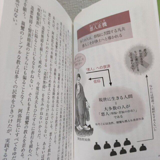 洋泉社(ヨウセンシャ)の『 うちのお寺がよくわかる！ 図解 浄土真宗 』■ 監修 川添泰信 / 親鸞 エンタメ/ホビーの本(ノンフィクション/教養)の商品写真