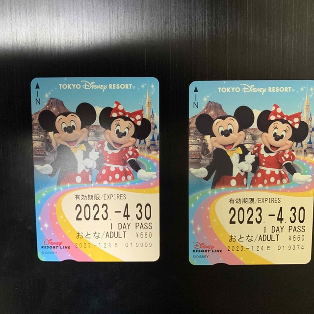 Disney(ディズニー)のディズニーリゾートラインチケット チケットの施設利用券(遊園地/テーマパーク)の商品写真