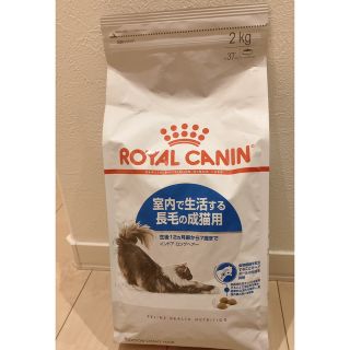 ロイヤルカナン(ROYAL CANIN)のロイヤルカナン　長毛の成猫用(ペットフード)