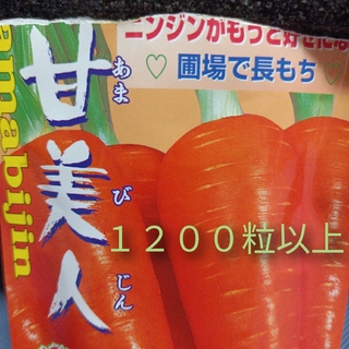 甘美人の種　小さじ１約５ml　1200粒　人参の種　野菜の種　野菜種(プランター)