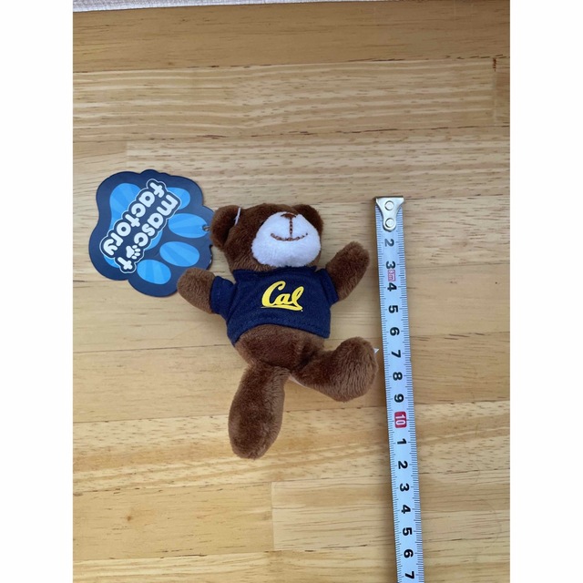 カリフォルニア大学　ベア　マグネット　ぬいぐるみ　くま エンタメ/ホビーのおもちゃ/ぬいぐるみ(ぬいぐるみ)の商品写真