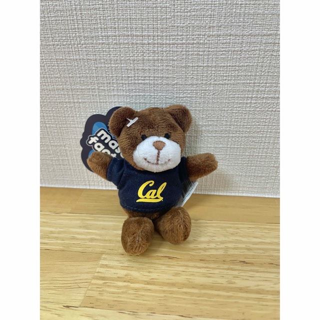 カリフォルニア大学　ベア　マグネット　ぬいぐるみ　くま エンタメ/ホビーのおもちゃ/ぬいぐるみ(ぬいぐるみ)の商品写真