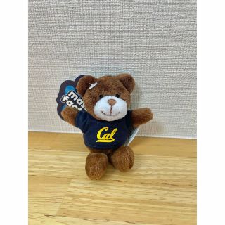 カリフォルニア大学　ベア　マグネット　ぬいぐるみ　くま(ぬいぐるみ)