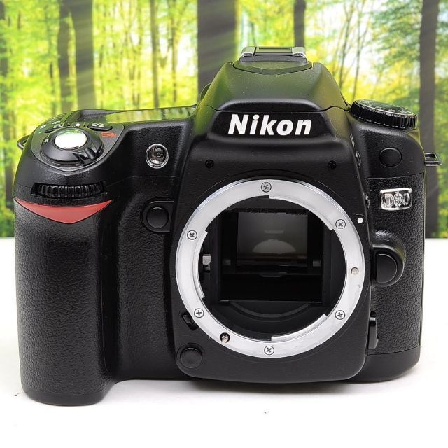Nikon D80☆スマホに転送OK☆色鮮やか一味違う一眼レフ☆3287 - 4
