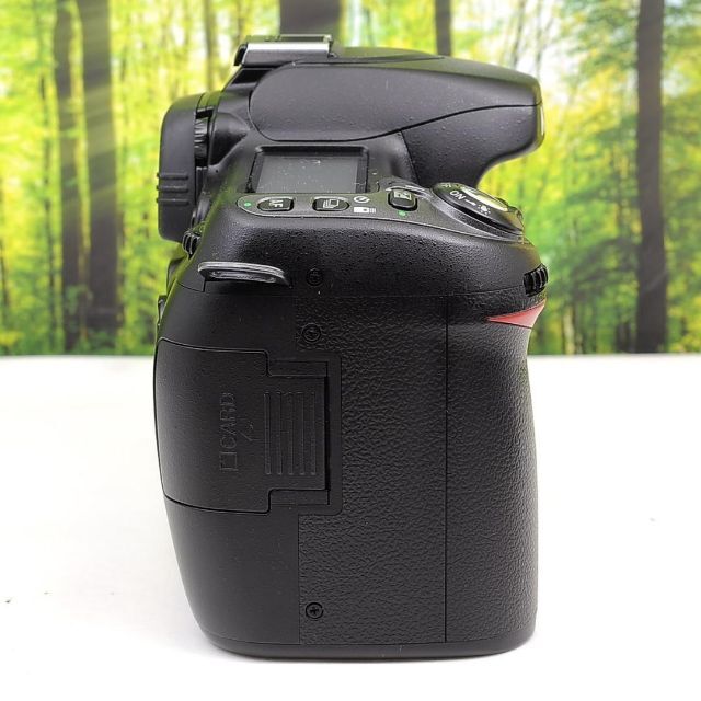Nikon D80☆スマホに転送OK☆色鮮やか一味違う一眼レフ☆3287 - 6