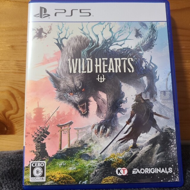 PlayStation(プレイステーション)のWILD HEARTS PS5　特典未使用 エンタメ/ホビーのゲームソフト/ゲーム機本体(家庭用ゲームソフト)の商品写真