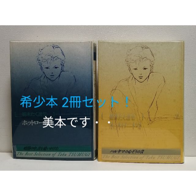 紡木たく選集  ホットロード 1・２　愛蔵版2冊セット！