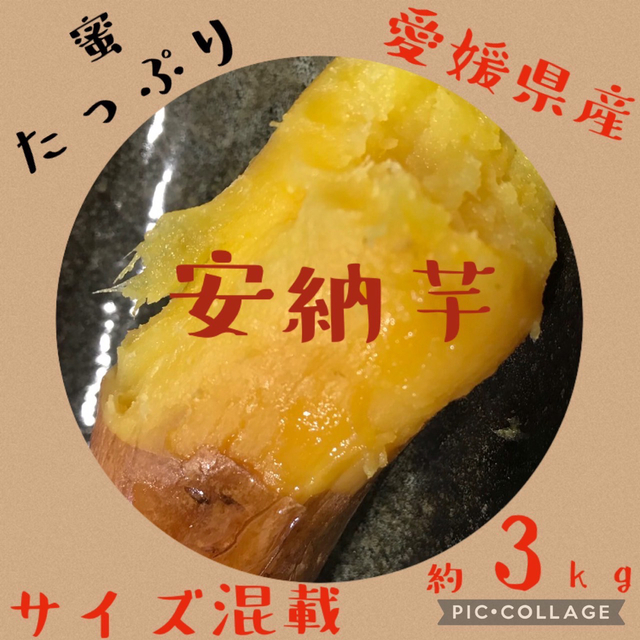 さつまいも　安納芋　愛媛県産　農家直送　サイズ混載　約3kg 食品/飲料/酒の食品(野菜)の商品写真