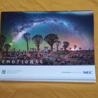 エヌイーシー(NEC)の2023 壁掛けカレンダー　NEC EMOTIONAL(カレンダー/スケジュール)