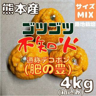 不知火 ゴツゴツ 訳あり4kg(デコポン)(フルーツ)