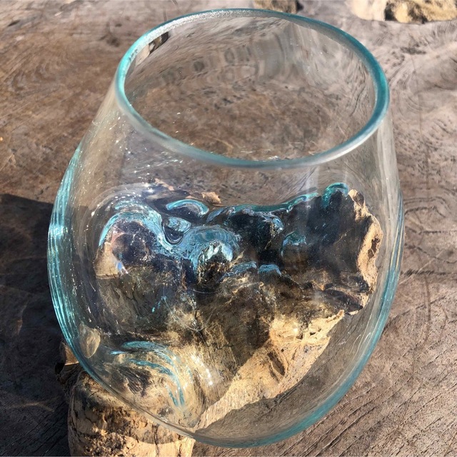 流木ガラスMN2 オブジェ 花瓶 多肉植物 金魚鉢 バリ島アート作品 テラリウム エンタメ/ホビーの美術品/アンティーク(彫刻/オブジェ)の商品写真