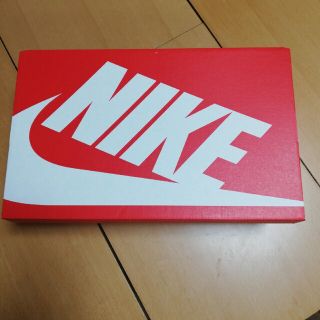 ナイキ(NIKE)のNIKE GO FLYEASE 空き箱のみ(スニーカー)