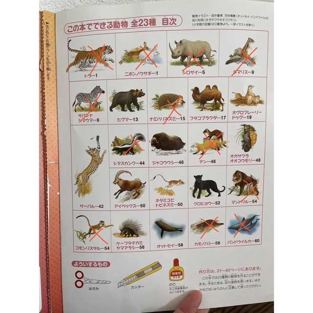 小学館 - 新りったいどうぶつ館 クラフトブック 中古の通販 by 小学館 - 新りったいどうぶつ館 クラフトブック 中古の通販 by
