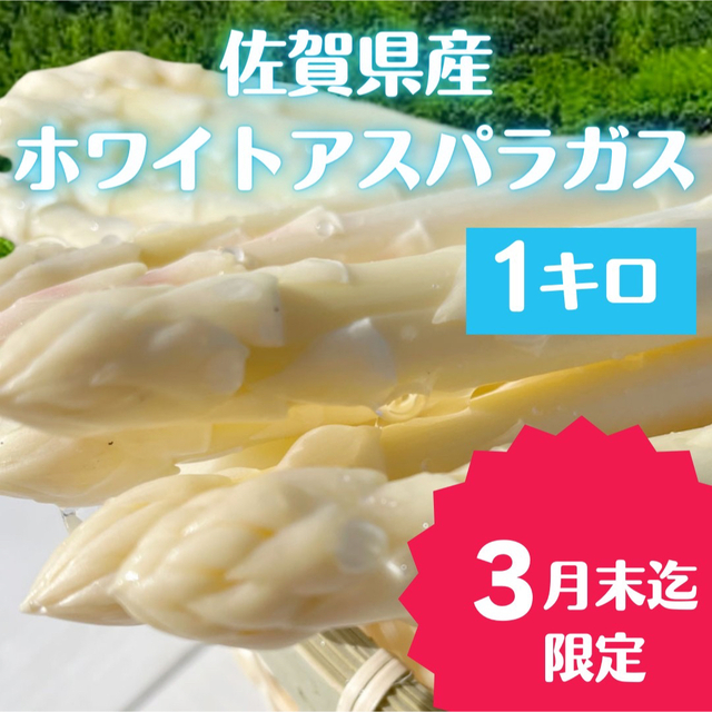 佐賀県産　ホワイトアスパラガス　1キロ 食品/飲料/酒の食品(野菜)の商品写真