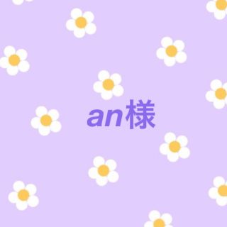 ♡an様 専用ページ♡(バッグ/レッスンバッグ)