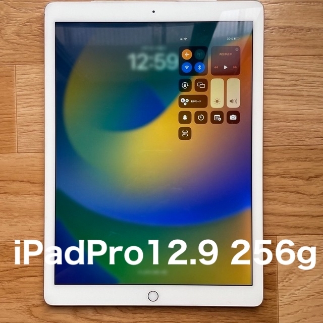 iPad Pro 12.9 256gb wifi+cellular ジャンクiPadpro