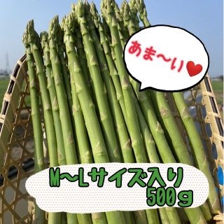 グリーンアスパラガス500g(野菜)