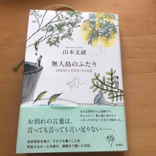 無人島のふたり １２０日以上生きなくちゃ日記(文学/小説)