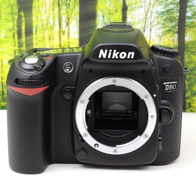 Nikon - Nikon D80☆スマホに転送OK☆色鮮やか一味違う一眼レフ☆3356 ...
