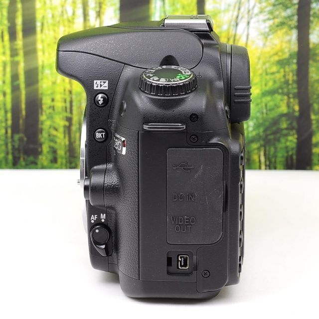 Nikon - Nikon D80☆スマホに転送OK☆色鮮やか一味違う一眼レフ☆3356 ...