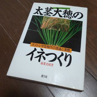 太茎大穂のイネつくり  中古(趣味/スポーツ/実用)