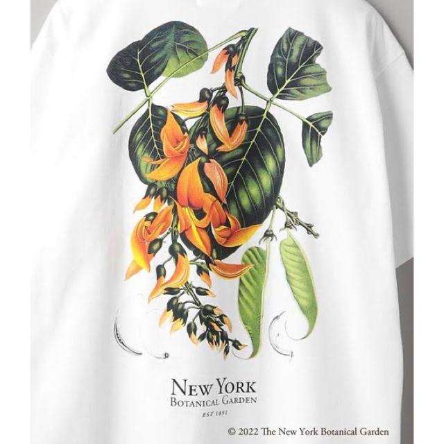 BEAUTY&YOUTH UNITED ARROWS(ビューティアンドユースユナイテッドアローズ)のNEW YORK BOTANICAL GARDEN Tシャツ メンズのトップス(Tシャツ/カットソー(半袖/袖なし))の商品写真