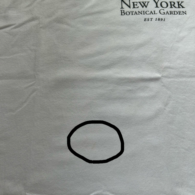 BEAUTY&YOUTH UNITED ARROWS(ビューティアンドユースユナイテッドアローズ)のNEW YORK BOTANICAL GARDEN Tシャツ メンズのトップス(Tシャツ/カットソー(半袖/袖なし))の商品写真